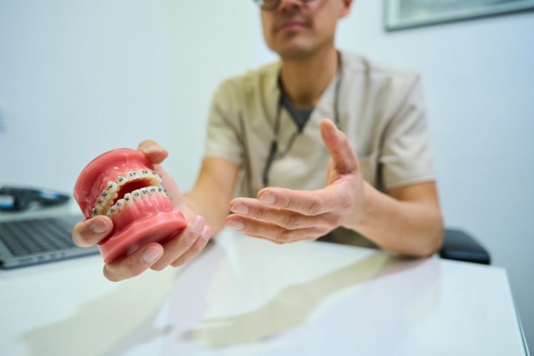 ortodoncia brackets maqueta